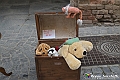 VBS_6576 - Mercatino dell'Antiquariato e dell'Hobbismo - Ottobre 2023